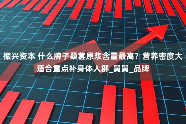 振兴资本 什么牌子桑葚原浆含量最高？营养密度大适合重点补身体人群_舅舅_品牌