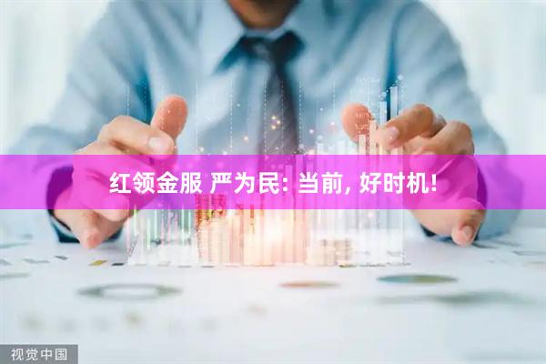 红领金服 严为民: 当前, 好时机!